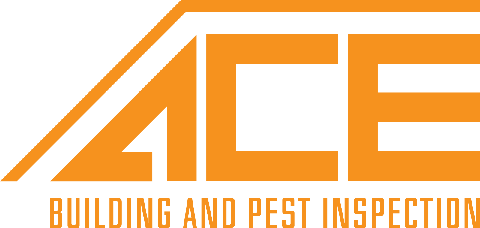 what-do-building-inspectors-look-for-2025-ace-building-pest