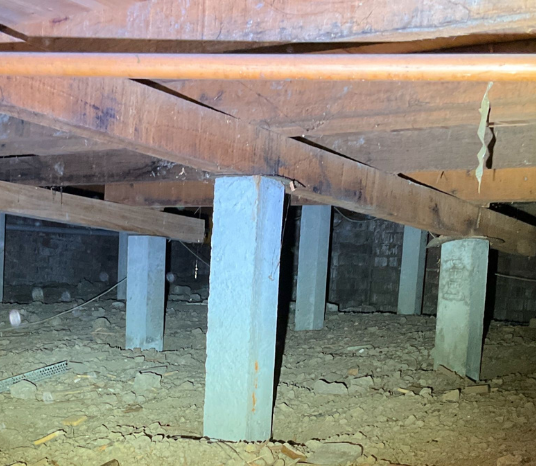 ACE Bayswater- pre hand pest inspection