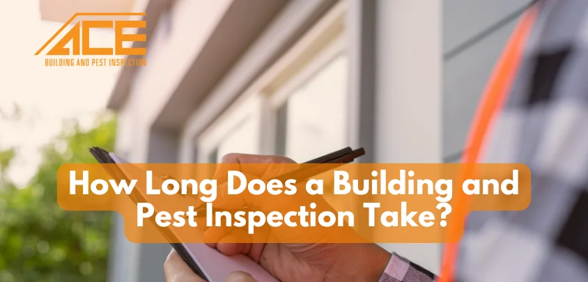 How Long Does a Building and Pest Inspection Take?